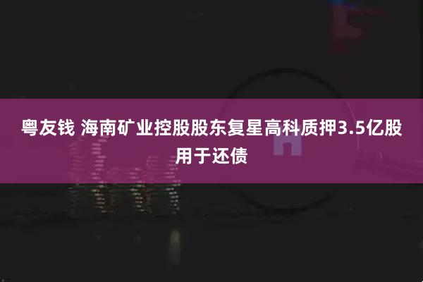 粤友钱 海南矿业控股股东复星高科质押3.5亿股用于还债