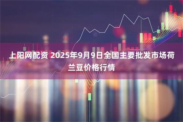 上阳网配资 2025年9月9日全国主要批发市场荷兰豆价格行情