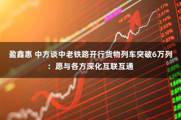 盈鑫惠 中方谈中老铁路开行货物列车突破6万列：愿与各方深化互联互通